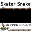 Skater Snake - Single album lyrics, reviews, download