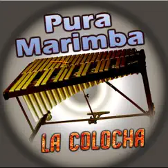Caminos de Michoacán Song Lyrics