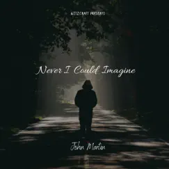 Never I Could Imagine by Johnny Martin album reviews, ratings, credits