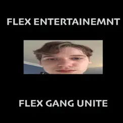 Flex Gang Unite (feat. Lil Mosquito Disease, Lil Squeaky & a.J.) - Single by Flex Entertainment album reviews, ratings, credits
