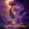 The Chaos of Your Wake album lyrics, reviews, download