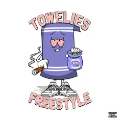 Towelies Freestyle - Single by Wellconnected_G album reviews, ratings, credits
