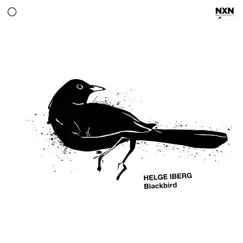 Blackbird - Single by Helge Iberg album reviews, ratings, credits
