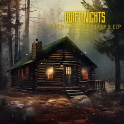 Quiet Nights: Fireplace Lofi for Deep Sleep by Jazz Beats Friend album reviews, ratings, credits