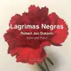 Lágrimas Negras - Single album lyrics, reviews, download