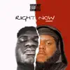 Right Now (Remix) - Single album lyrics, reviews, download