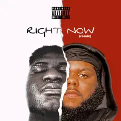 Right Now (Remix) - Single by Alley & Young Chris the Artist album reviews, ratings, credits