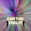 Can You Feel It (feat. Jesus Rose) song lyrics