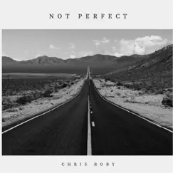 Not Perfect - Single by Chris Roby album reviews, ratings, credits