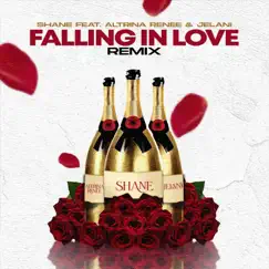 Falling In Love (feat. Altrina Renee & Jelani) [“R&B Remix”] - Single by Shane album reviews, ratings, credits