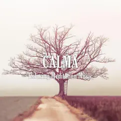 Calma - Single by Relaxing Meditation Music album reviews, ratings, credits