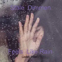 Feels Like Rain Song Lyrics