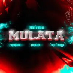 Mulata (feat. Tunechikidd) Song Lyrics