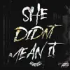 She Didnt Mean It - Single album lyrics, reviews, download