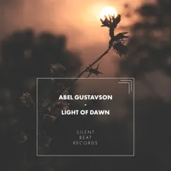 Light of Dawn Song Lyrics