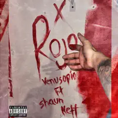Rojo (feat. Shaun Nett) [Radio Edit] Song Lyrics