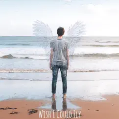 Wish I Could Fly Song Lyrics