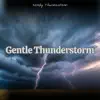 Gentle Thunderstorm: Soft Thunder Rumbles with Light, Consistent Rain album lyrics, reviews, download