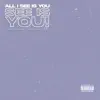 All I See Is You - Single album lyrics, reviews, download