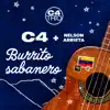 El Burrito Sabanero - Single album lyrics, reviews, download
