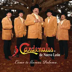 Cómo Te Llamas Paloma by Cardenales de Nuevo León album reviews, ratings, credits