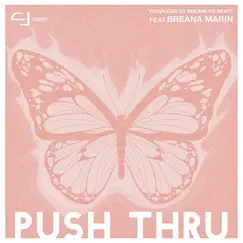 Push Thru (feat. Breana Marin) Song Lyrics