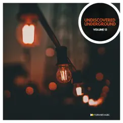 Undiscovered Underground, Vol. 13 by Arina Mur, Weird Sounding Dude & Ric Niels album reviews, ratings, credits