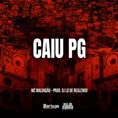 CAIU PG - Single by Mc Malvadão & Dj LD de Realengo album reviews, ratings, credits