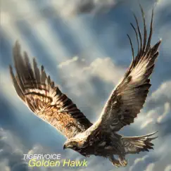 Golden Hawk Song Lyrics