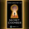 Secret Chamber (feat. J.O.Y.) - Single album lyrics, reviews, download