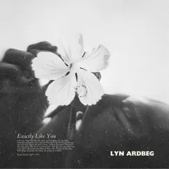 Exactly Like You - Single by Lyn Ardbeg album reviews, ratings, credits