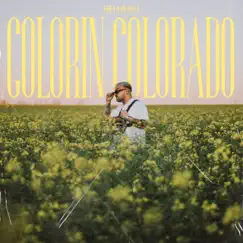 Colorín Colorado - Single by The La Planta album reviews, ratings, credits