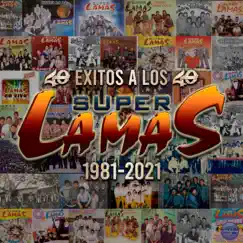 40 Éxitos a los 40 by Super Lamas album reviews, ratings, credits