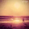 half-light (feat. James O'Brien) - Single album lyrics, reviews, download