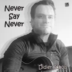 Never Say Never (radioversion) - Single by Didier Schols, Ivo Degroof & Raoul van Geel album reviews, ratings, credits