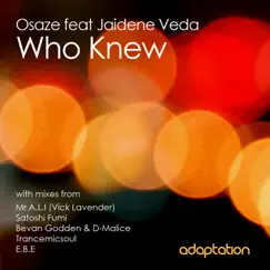 Who Knew (feat. Jaidene Veda) [E.B.E Altruism Mix] Song Lyrics