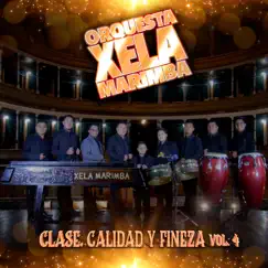 Los 3 Grandes en Marimba Orquesta: Cuando un Amor Se Va / Que Te Ha Dado Esa Mujer / Ay Rosita (Rosita) Song Lyrics