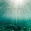 Underwater (feat. L.L.) - Single album lyrics, reviews, download