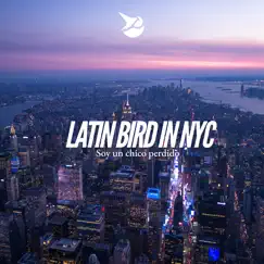 Latin Bird in Nyc Song Lyrics