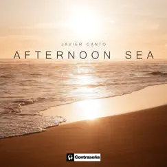 Afternoon Sea by Javier Canto album reviews, ratings, credits