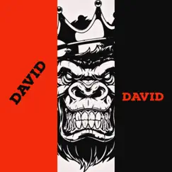 David (feat. Mr24) Song Lyrics