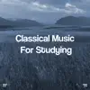 Relaxing Piano to Study (432 Hz) song lyrics