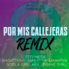 Por mis Callejeras (Remix) [feat. Sami M the Samantha, Gorila Girl, Inadaptadha, Ary & Insane Gyal] - Single album lyrics, reviews, download