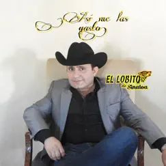 Así Me las Gasto - Single by El Lobito de Sinaloa album reviews, ratings, credits