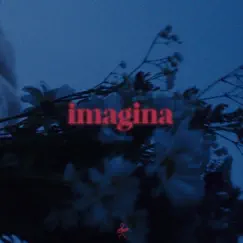 Imagina - Single by FRANKIEONTHEGUITAR, Slow J & Ivandro album reviews, ratings, credits