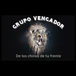 Volvernos a Ver (Remasterizada) - Single by Grupo MS Vengador album reviews, ratings, credits