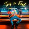 Try N Feel - Single album lyrics, reviews, download