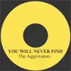 You Will Never Find - Single album lyrics, reviews, download