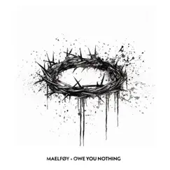 Owe You Nothing - Single by Maelføy album reviews, ratings, credits