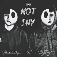 Not Shy - Single by Paradise Drip & BigDog album reviews, ratings, credits